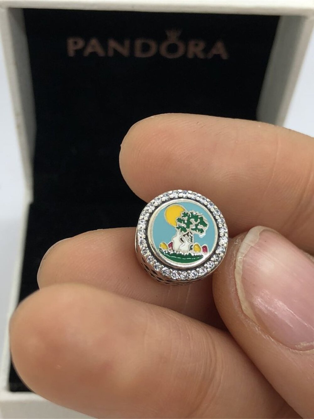 ✨🔥Pandora Charleston SC Dangle Charm